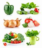 set fresh vegetables with green leaf