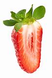 strawberry macro