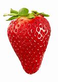 strawberry macro