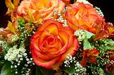 orange roses flower bouquet