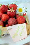fresh ripe organic strawberries in a wooden box