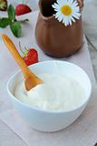 fermented milk product sour cream in a white cup
