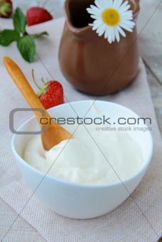fermented milk product sour cream in a white cup