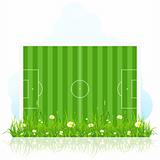 Football field with grass