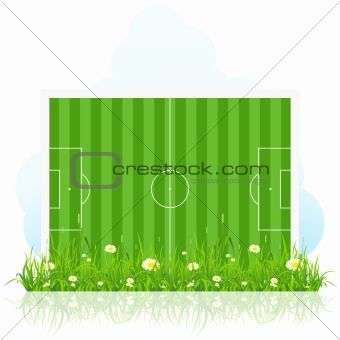 Football field with grass