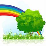 Isolated green tree with rainbow