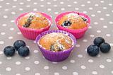 Blueberry muffins