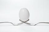 Egg on a Pair of Forks