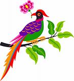 bird with flower illustration