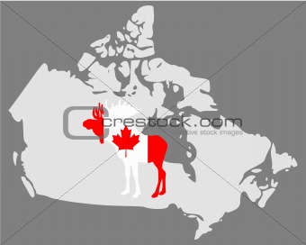 Canadian moose