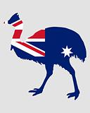 Cassowary Australia