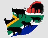 Big Five South Africa 