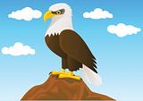 Vector eagle