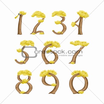 Natural Number Symbol