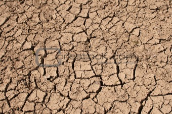 Dry Earth