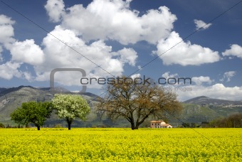 Italian landscape in spring