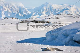 Beautiful landscape in  Antarctica