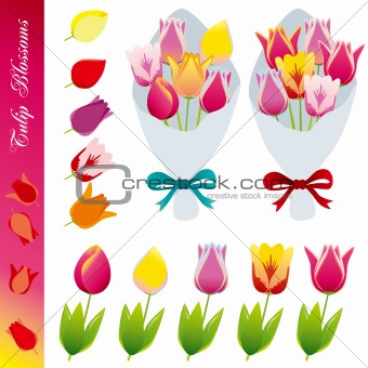 Tulip blossom icons set