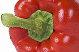 red pepper - closeup