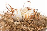 easter eggs in nest