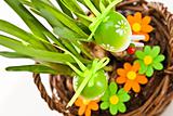 easter eggs and plant