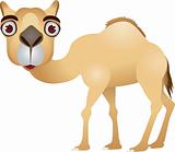 Camel cartoon