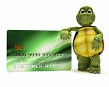 Tortoise with a credit card