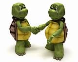 Tortoises shaking hands