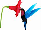 hummingbird vector