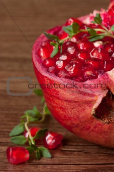 Pomegranate. 