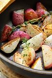 fried radish with thyme in a pan