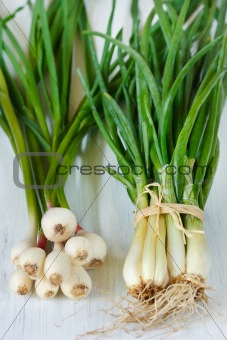 Young onion and garlic.