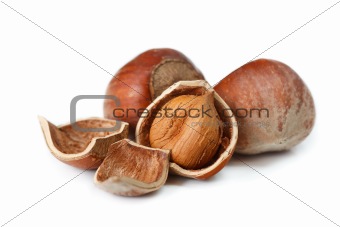 Hazelnuts.