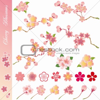 Cherry blossoms icons set