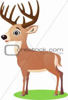 Deer cartoon