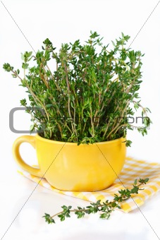 Bunch of thyme.