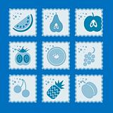 Fruit stamp vector collection /Fruits Collection - Set of Various