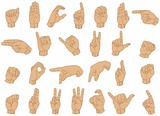 Sign Language Hands