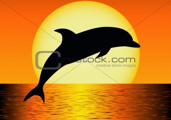 jumping dolphin silhouette
