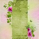 Background for congratulation card in pink and green