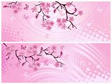 Cherry blossom, banner. Vector illustration  