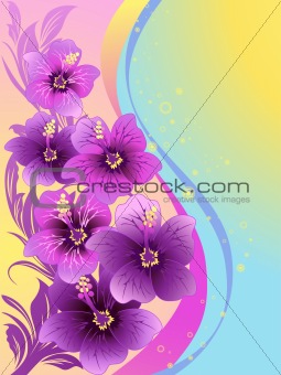 hibiscus flowers, tropical waves, illustration, vector