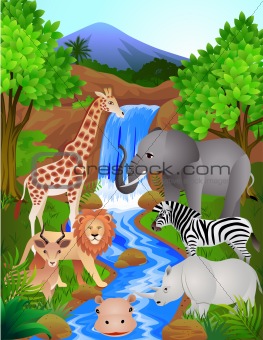Safari cartoon