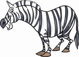 cartoon zebra