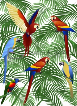 Parrot bird vector