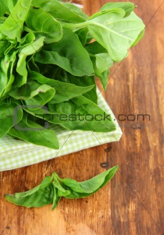bunch of fresh basil on a napkin on the table