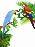 Parrot bird vector