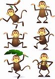 Cute monkey cartoon vector