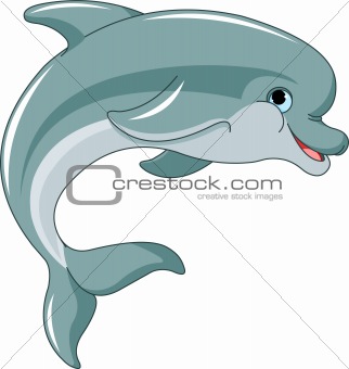 Jumping Dolphin 