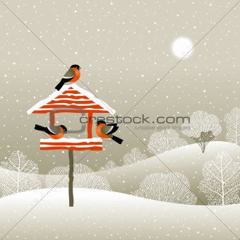 Birdfeeder in winter forest